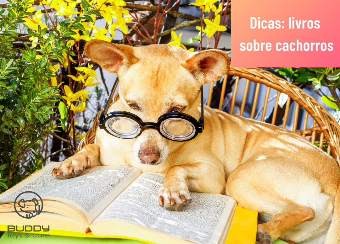 5 livros imperdíveis sobre cachorros